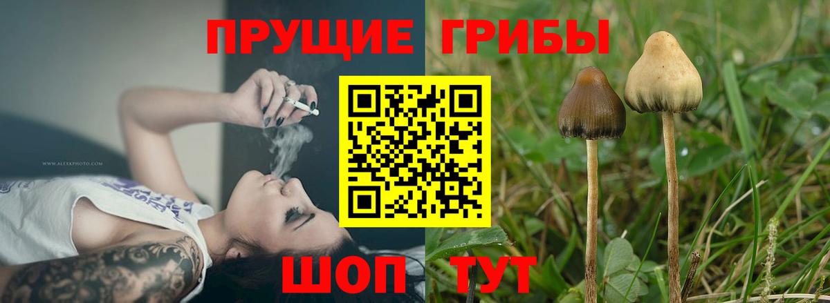 Псилоцибиновые грибы прущие грибы  Вход с VPN  Галлюциногенные грибы мицелий  Лангепас 